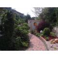 gruen-im-garten-05.jpg
