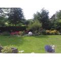 gruen-im-garten-06.jpg