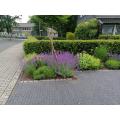 gruen-im-garten-08.jpg