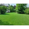 gruen-im-garten-11.jpg