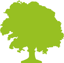 Baum Julian Hesse Gartenbau